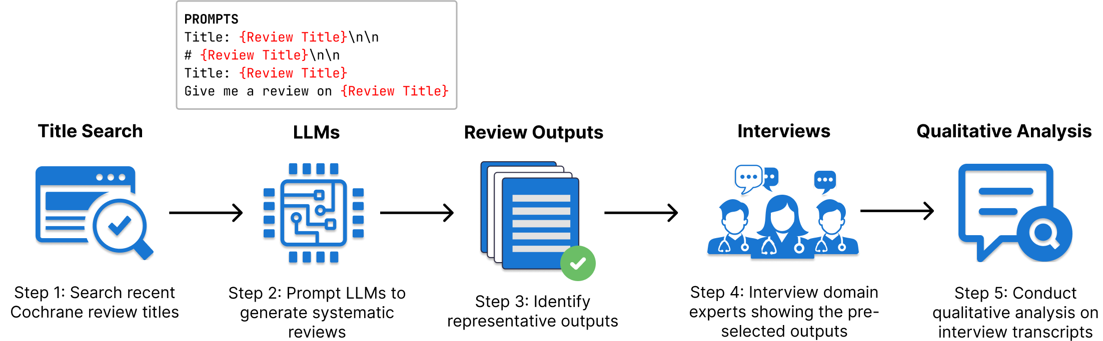 a schematic of our study in 5 steps